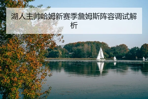 湖人主帅哈姆新赛季詹姆斯阵容调试解析 - 3377Sports